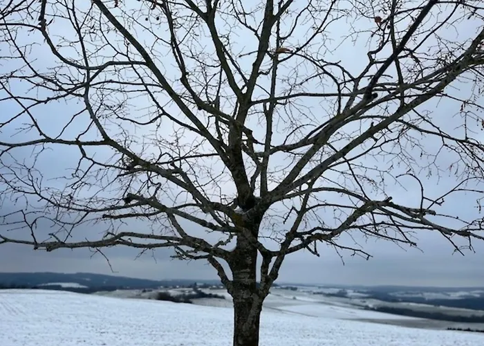 Eifel-Bau-Traum Schlich